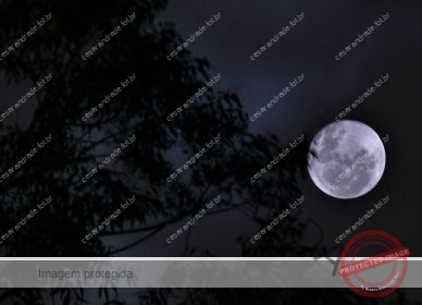 Lua 15