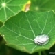 Macros