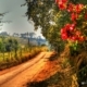 Fazenda do Engenho