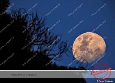 Lua 07