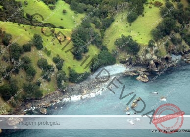 Nova Zelândia 11