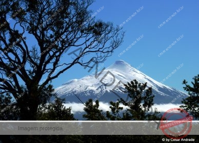 Chile 3